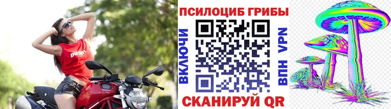 Галлюциногенные грибы мухоморы  продажа наркотиков  Котовск 