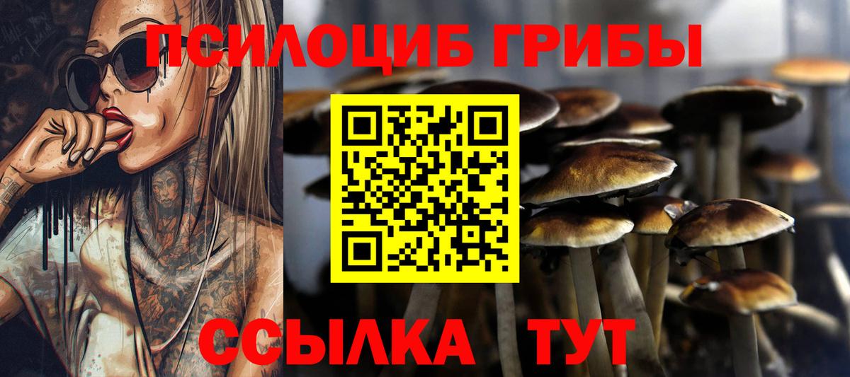 Псилоцибиновые грибы мицелий Котовск