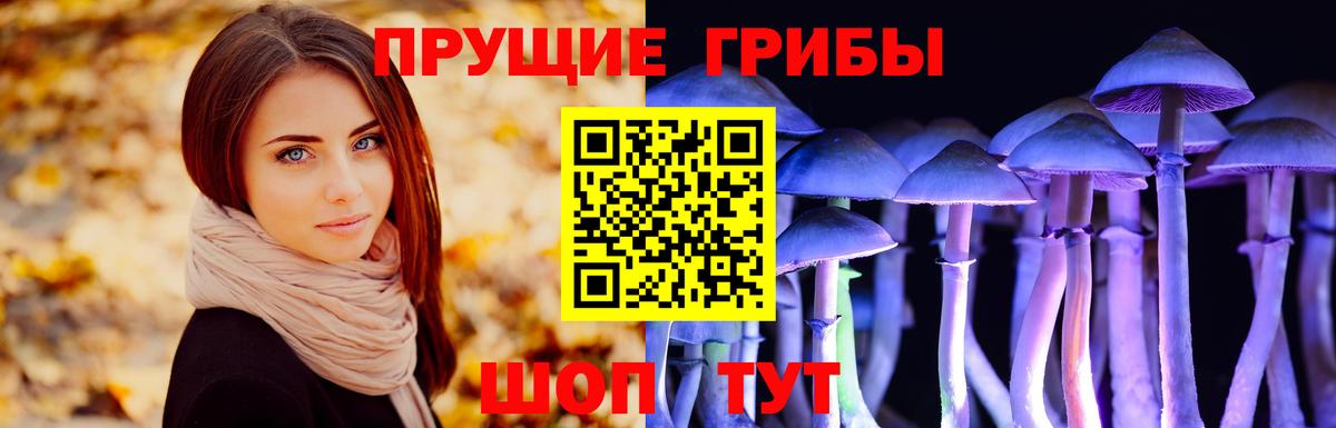 Галлюциногенные грибы Psilocybe  Галлюциногенные грибы MAGIC MUSHROOMS  Котовск  Вход с VPN 
